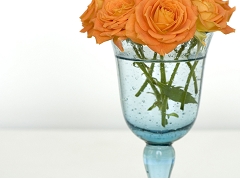 楽しみ方画像２